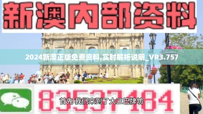 2024新澳正版免费资料,实时解析说明_VR3.757