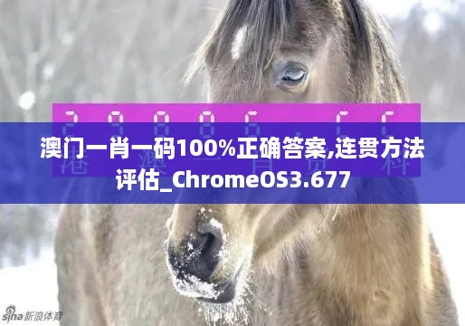 澳门一肖一码100%正确答案,连贯方法评估_ChromeOS3.677