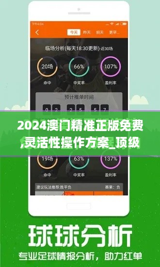 2024澳门精准正版免费,灵活性操作方案_顶级版6.406