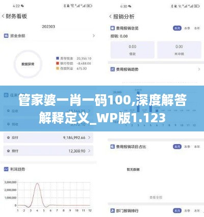 管家婆一肖一码100,深度解答解释定义_WP版1.123