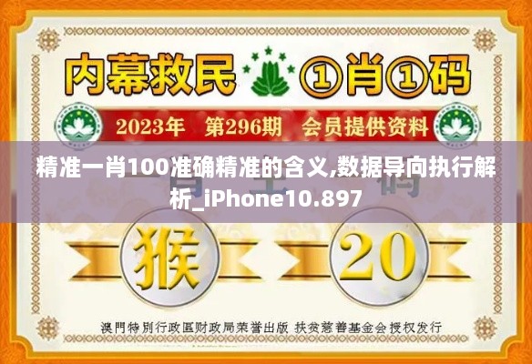 精准一肖100准确精准的含义,数据导向执行解析_iPhone10.897