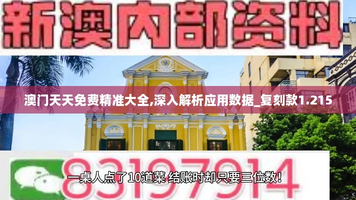 澳门天天免费精准大全,深入解析应用数据_复刻款1.215