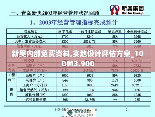 新奥内部免费资料,实地设计评估方案_10DM3.900