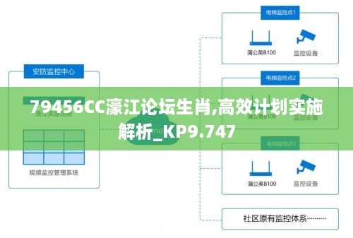 79456CC濠江论坛生肖,高效计划实施解析_KP9.747