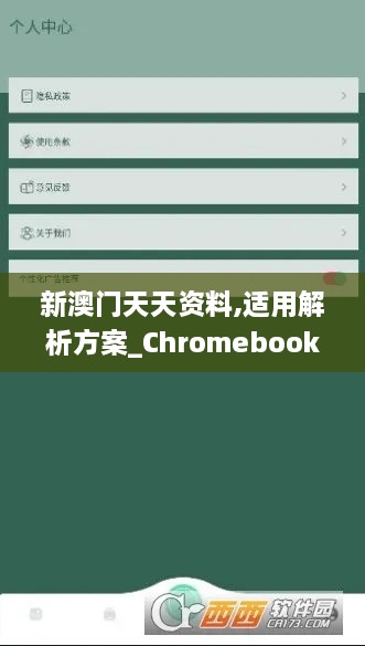 新澳门天天资料,适用解析方案_Chromebook9.665