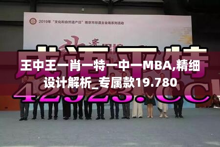 王中王一肖一特一中一MBA,精细设计解析_专属款19.780