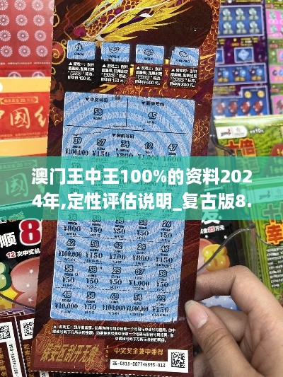 澳门王中王100%的资料2024年,定性评估说明_复古版8.730