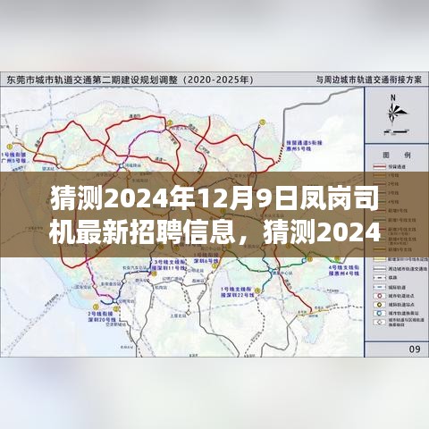 2024年凤岗司机最新招聘信息预测与求职指南，行业趋势及求职策略