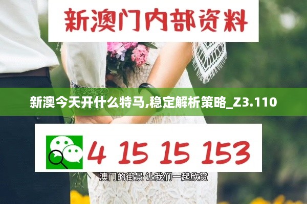 新澳今天开什么特马,稳定解析策略_Z3.110