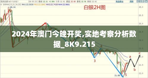 2024年澳门今晚开奖,实地考察分析数据_8K9.215