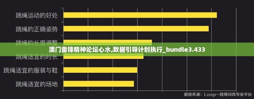 澳门雷锋精神论坛心水,数据引导计划执行_bundle3.433