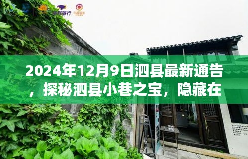 探秘泗县小巷之宝，隐藏在深巷中的独特小店，最新发现（2024年）