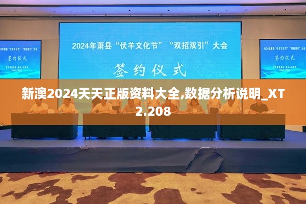 新澳2024天天正版资料大全,数据分析说明_XT2.208