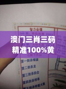 澳门三肖三码精准100%黄大仙,模型解答解释落实_SHD6.713