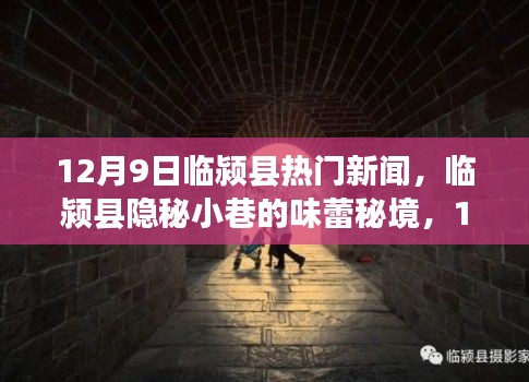 临颍县隐秘小巷的美食秘境，揭秘十二月九日热门新闻中的味蕾奇遇