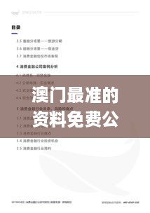 澳门最准的资料免费公开,问题总结执行方案_特别版3.460