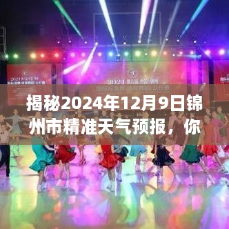 2024年12月 第826页