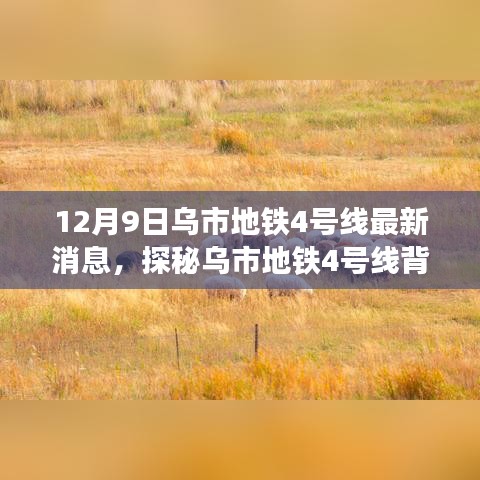 12月9日乌市地铁4号线最新消息，探秘乌市地铁4号线背后的故事，小巷深处的独特小店