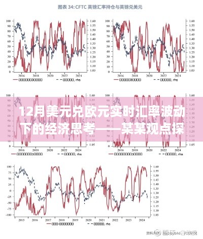 美元兑欧元实时汇率波动下的经济思考，某某观点深度探析