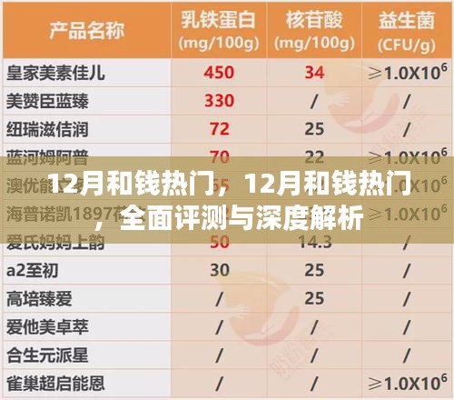 12月与钱的热门话题，全面评测与深度解析