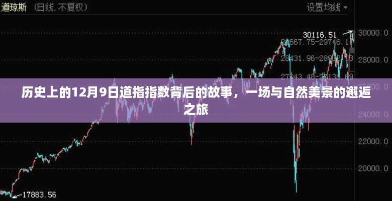 历史上的12月9日道指指数背后的故事，一场与自然美景的邂逅之旅