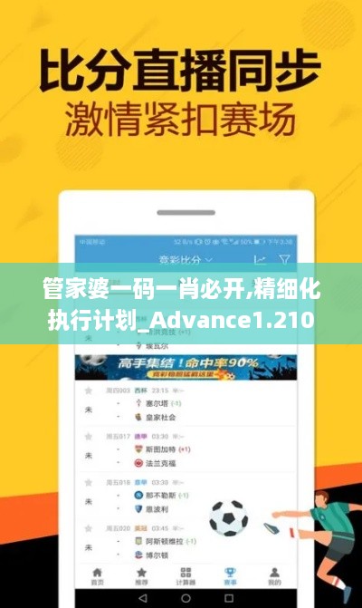 管家婆一码一肖必开,精细化执行计划_Advance1.210