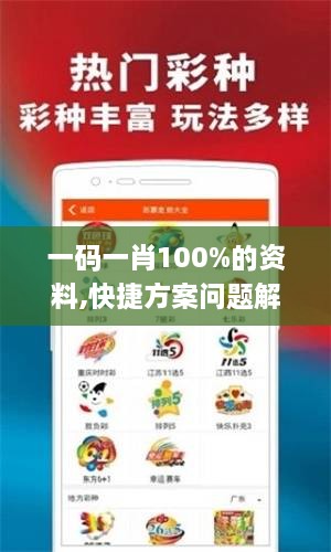 一码一肖100%的资料,快捷方案问题解决_HDR版4.310