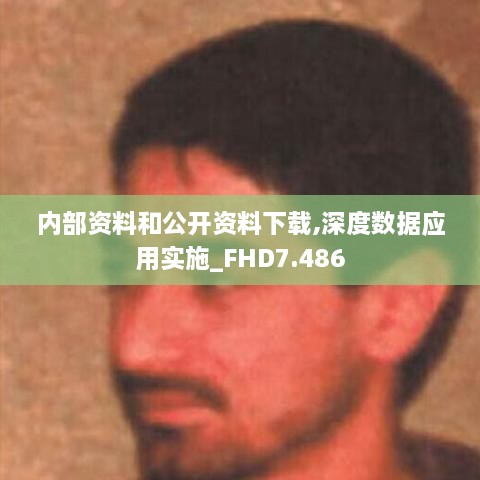 内部资料和公开资料下载,深度数据应用实施_FHD7.486