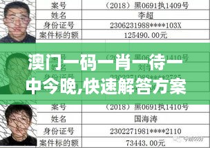 澳门一码一肖一待一中今晚,快速解答方案执行_户外版110.689