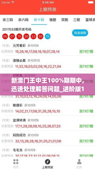 新澳门王中王100%期期中,迅速处理解答问题_进阶版13.902