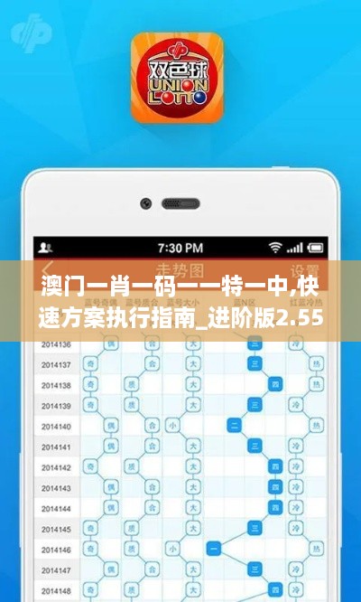 澳门一肖一码一一特一中,快速方案执行指南_进阶版2.557