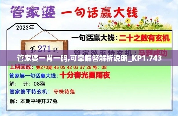 管家婆一肖一码,可靠解答解析说明_KP1.743