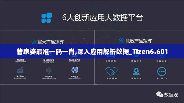 管家婆最准一码一肖,深入应用解析数据_Tizen6.601