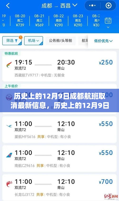 历史上的12月9日成都航班取消最新信息及应对指南