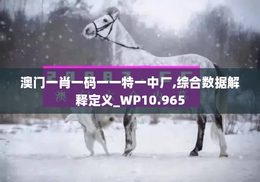 澳门一肖一码一一特一中厂,综合数据解释定义_WP10.965