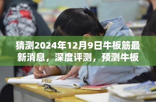 深度解读，预测牛板筋最新消息，体验牛板筋的魅力与特点在2024年