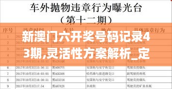 新澳门六开奖号码记录43期,灵活性方案解析_定制版2.891