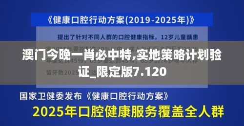 澳门今晚一肖必中特,实地策略计划验证_限定版7.120