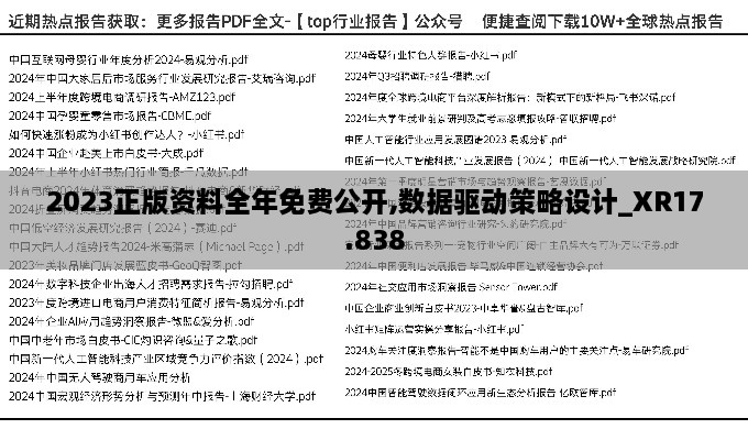 2023正版资料全年免费公开,数据驱动策略设计_XR17.838