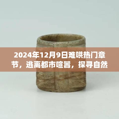 逃离都市喧嚣，探寻自然秘境的奇妙旅行篇章（2024年12月9日热门章节）