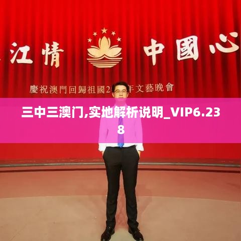 三中三澳门,实地解析说明_VIP6.238