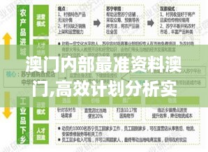 澳门内部最准资料澳门,高效计划分析实施_8DM4.848