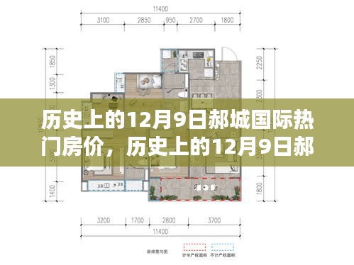 历史上的12月9日郝城国际房价走势深度解析与热门房价回顾