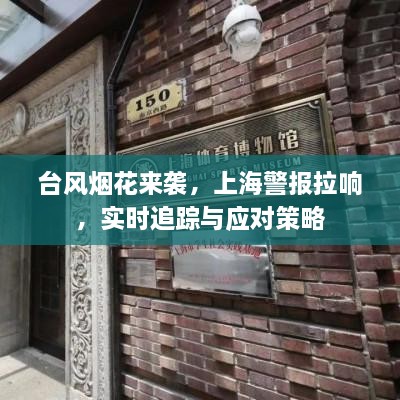 上海台风烟花来袭，实时追踪与应对策略警报拉响