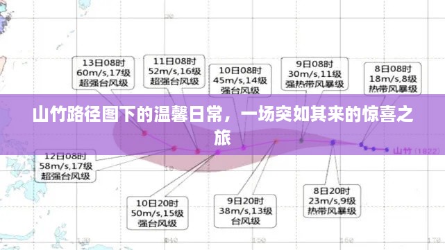 山竹路径图下的温馨日常与惊喜之旅