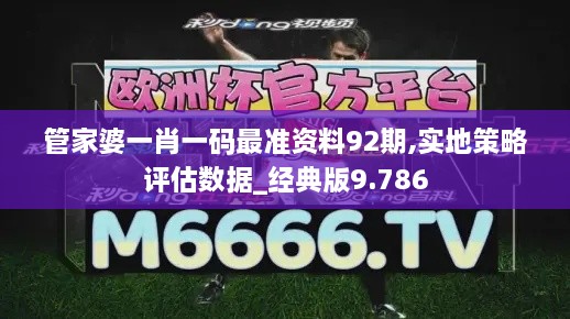 管家婆一肖一码最准资料92期,实地策略评估数据_经典版9.786