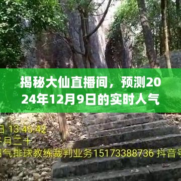 揭秘大仙直播间，预测人气盛况，揭秘未来盛况展望