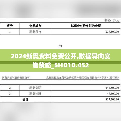 2024新奥资料免费公开,数据导向实施策略_SHD10.452