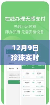 珍珠报价实时更新，初学者与进阶用户的全方位指南（12月9日版）