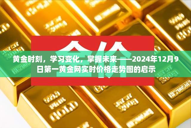 黄金时刻的启示，掌握实时价格走势图，洞悉未来学习变化与财富机遇